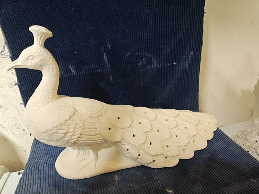 Ceramic Ready to Paint Large Peacock BISQUE