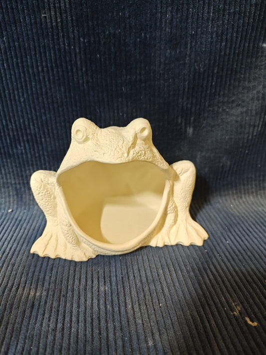 Ceramic Ready to Paint Frog Sponge Holder