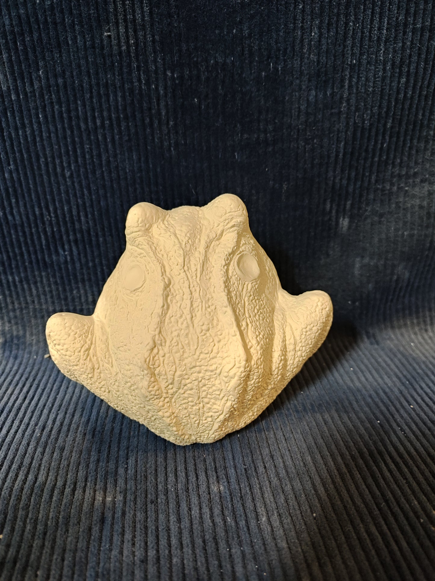 Ceramic Ready to Paint Frog Sponge Holder