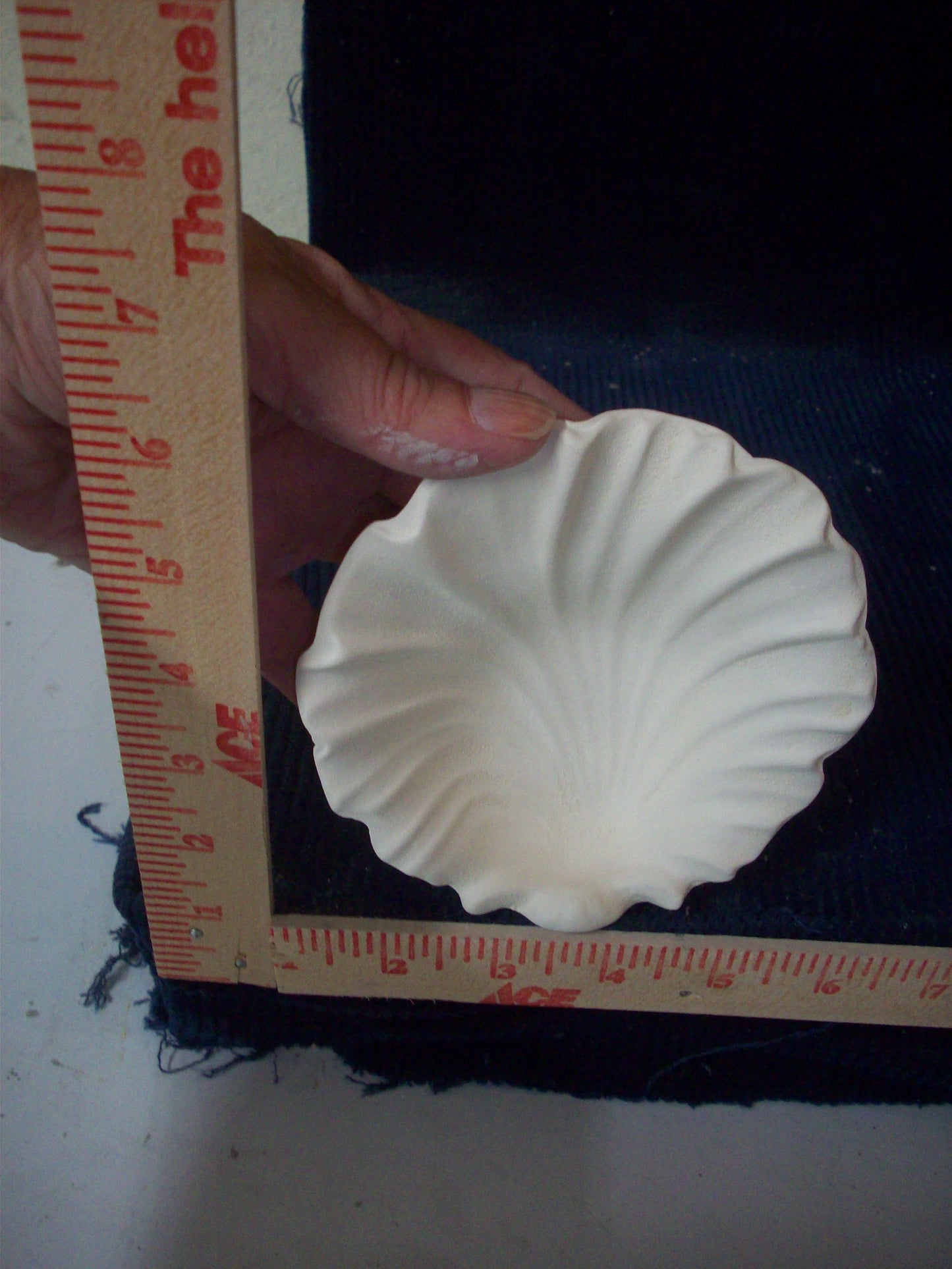 Ceramic Ready To Paint Sea Shell Soap Dish (Small)