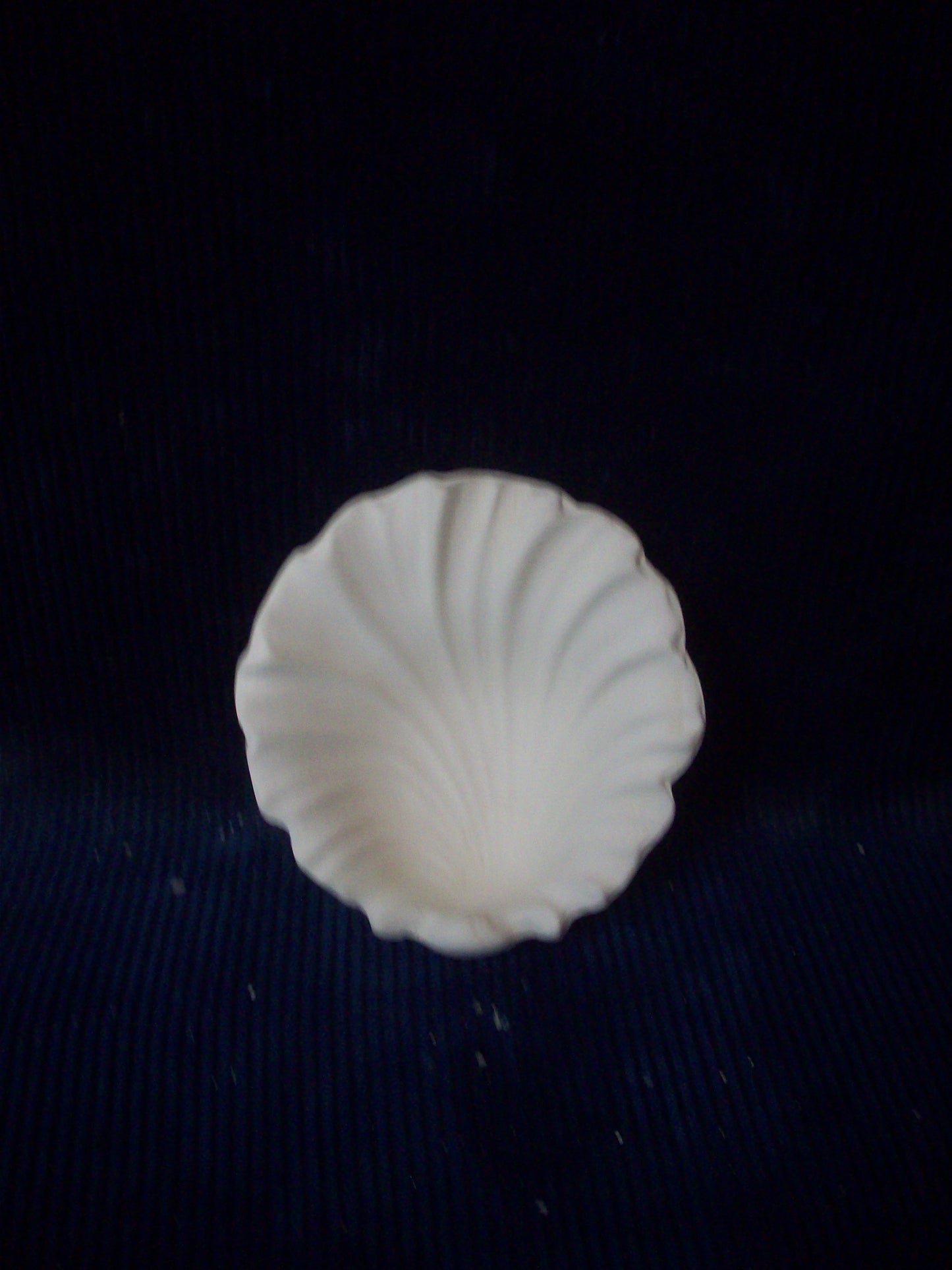 Ceramic Ready To Paint Sea Shell Soap Dish (Small)