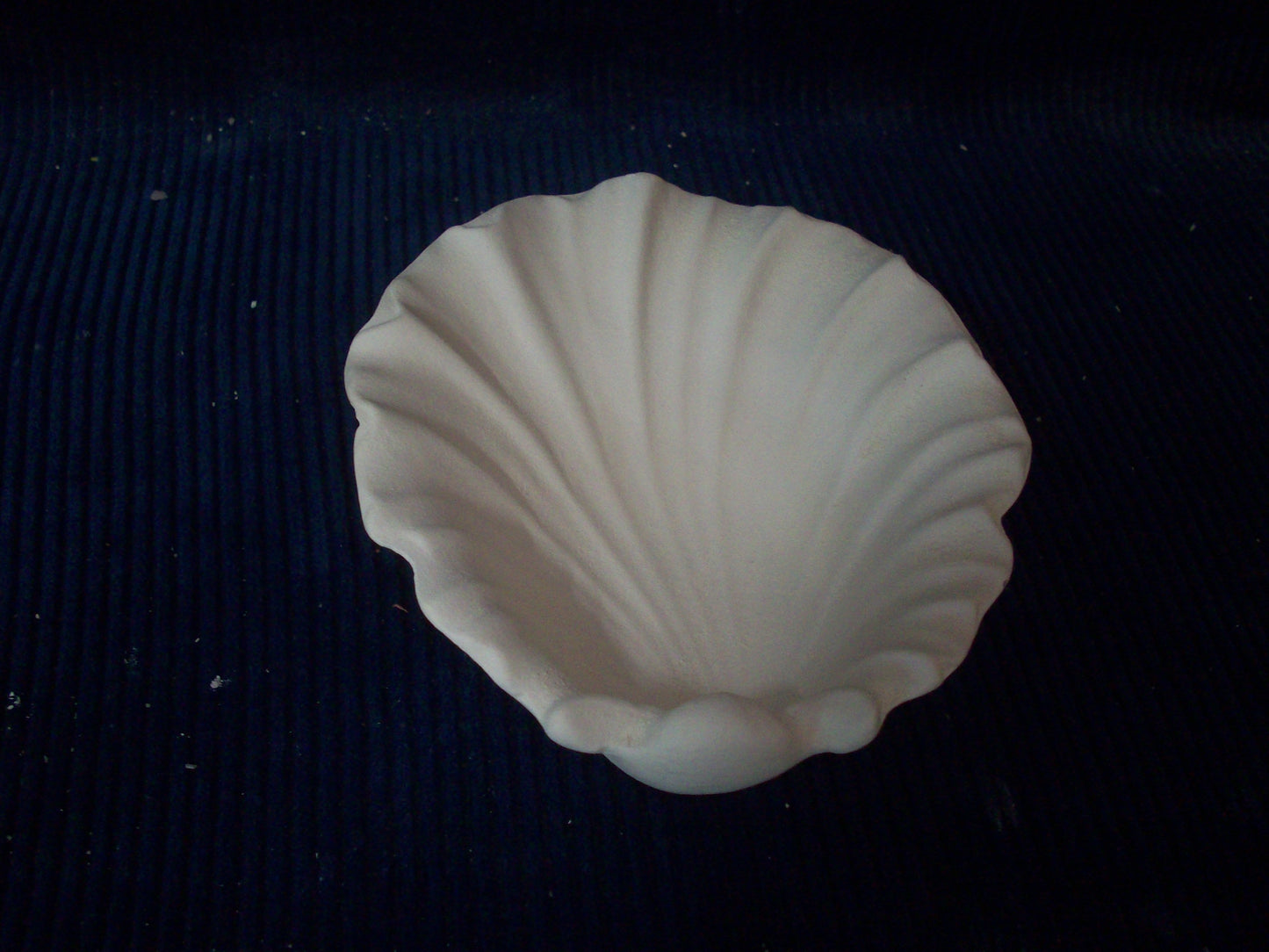 Ceramic Ready To Paint Sea Shell Soap Dish (Small)